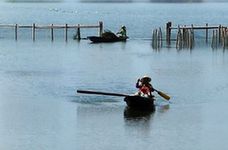 IMG_4849.jpg
