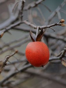 IMG_8978_副本.jpg