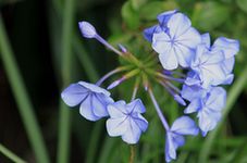 IMG_8315.jpg