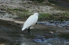IMG_8364.jpg