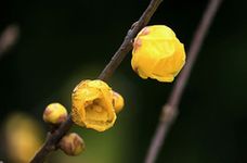 IMG_8413.jpg
