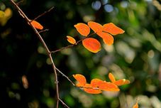 IMG_8440_副本.jpg