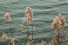 IMG_8509.jpg